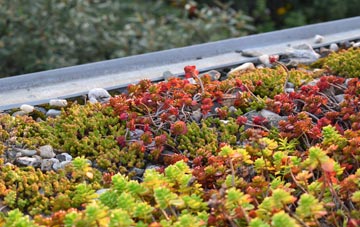 the cost of Clifton Upton Teme green roof installation
