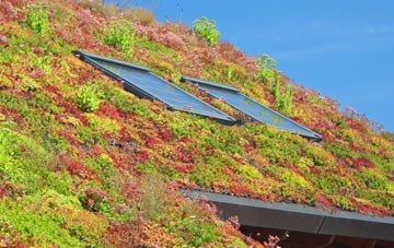 Clifton Upton Teme living roof systems